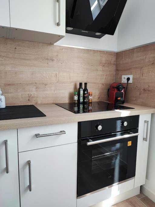 Apartamento Pause Entre Cite Et Bastide *Clim *Wifi *Smart Tv Carcasona Exterior foto