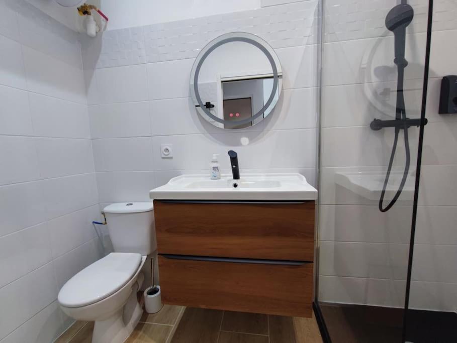 Apartamento Pause Entre Cite Et Bastide *Clim *Wifi *Smart Tv Carcasona Exterior foto